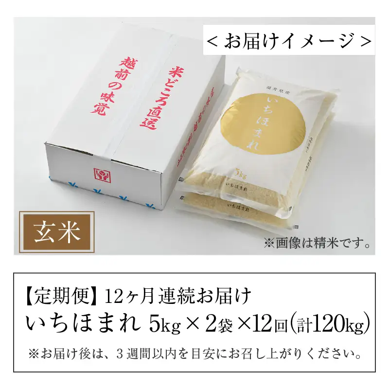 【令和8年産】定期便12回 いちほまれ 玄米 10kg×12回（計120kg）《新鮮な高品質米をお届け！》／ 福井県産 ブランド米 ご飯 [aw064-o004]