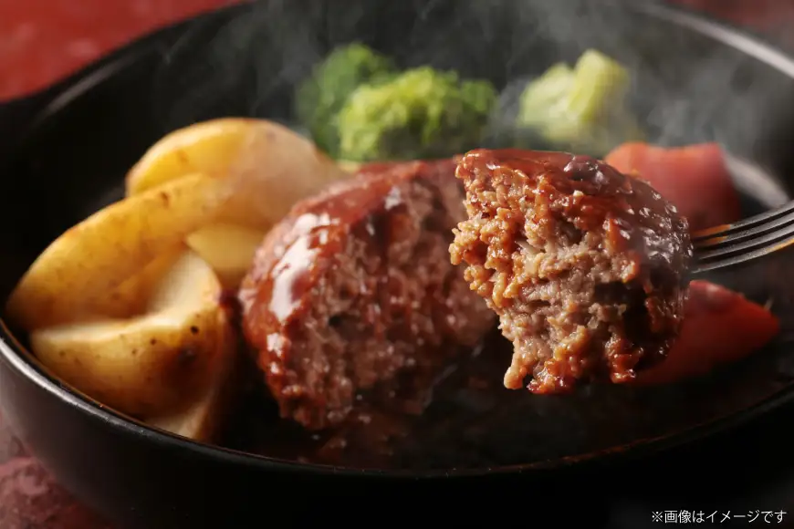 ハンバーグ 博多和牛 本格 手ごねハンバーグ 150g 10個 6回 隔月 定期便 総計 60個