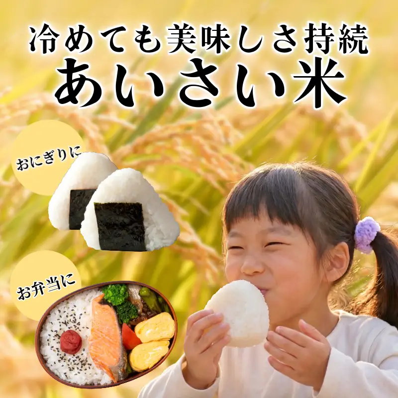【令和8年産】 新米 こしひかり 精米 10kg  お米 あいさい米 おこめ 白米 白飯 ご飯 小松島市