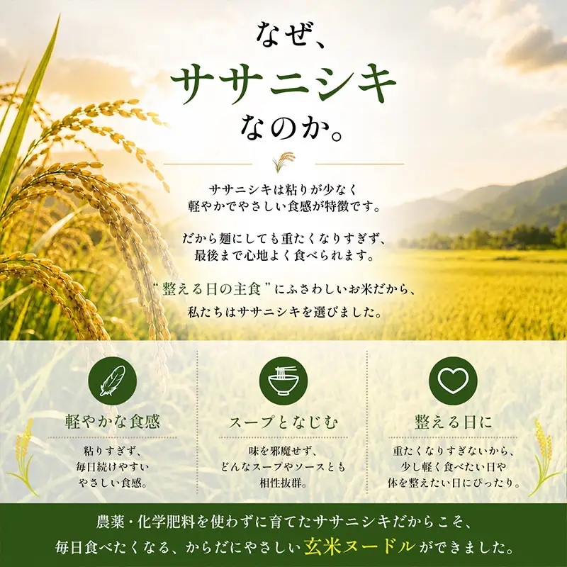 玄米麺 [自然農法 ササニシキ] 100gx6食分 計600g 玄米ヌードル