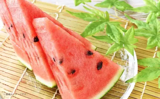 小玉すいか 3～5玉入り M～3Lサイズ 約4.5kg 西瓜 すいか スイカ 小玉 甘い 熊本産 熊本すいか 果物 くだもの 果実 フルーツ  【 2027年4月下旬 ～ 7月下旬 発送予定 】
