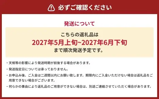 大玉すいか 1玉入り L以上 約5kg スイカ すいか 西瓜 熊本すいか 大玉 果物 くだもの フルーツ プレミアムフルーツ 果肉 果汁 甘み 旬の果物 国産 熊本県産 【 2027年5月上旬～6月下旬発送予定 】