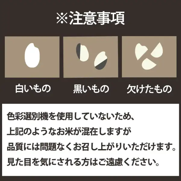 令和8年産 ミルキークイーン 約5kg | お米 愛媛県産米 白米 精米 【VEG1171】