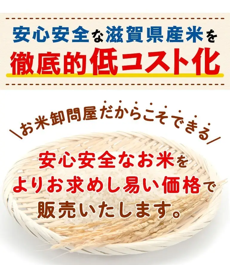 ミルキークイーン 20kg 白米 国産 ミルキークイン おこめ ご飯 ごはん 近江米 お弁当