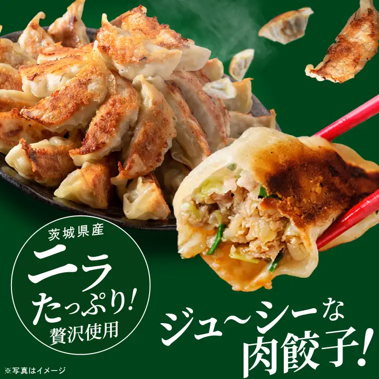 餃子 肉餃子 しそたっぷり肉餃子 ニラたっぷり肉餃子 各30個×2袋 ローズポーク ブランド豚 ぎょうざ 中華 そうざい 青しそ シソ にら 惣菜 時短 簡単調理 冷凍 【茨城県共通返礼品/行方市産】（96-08)