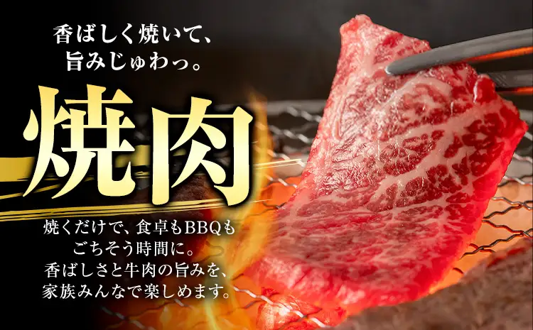 黒毛和牛 極上霜降り リブ・サーロイン・特上バラ 焼肉 1kg