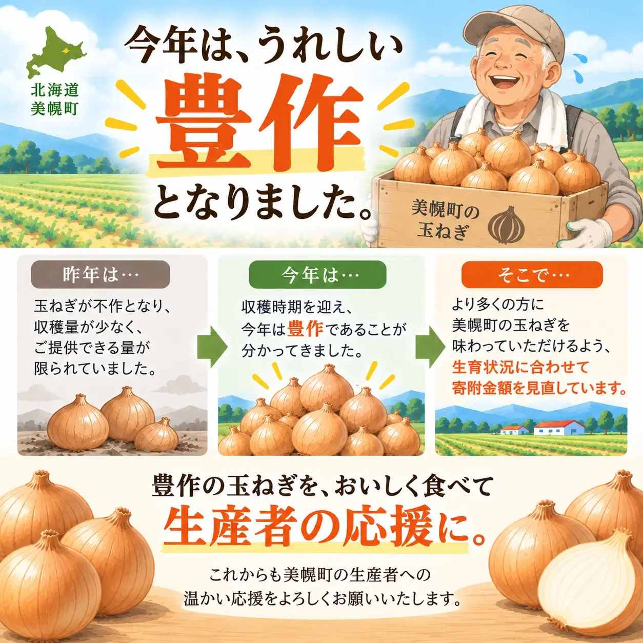 【 先行予約】玉ねぎ L大サイズ 20kg 美幌町産 (2026年10月以降順次発送) たまねぎ AF