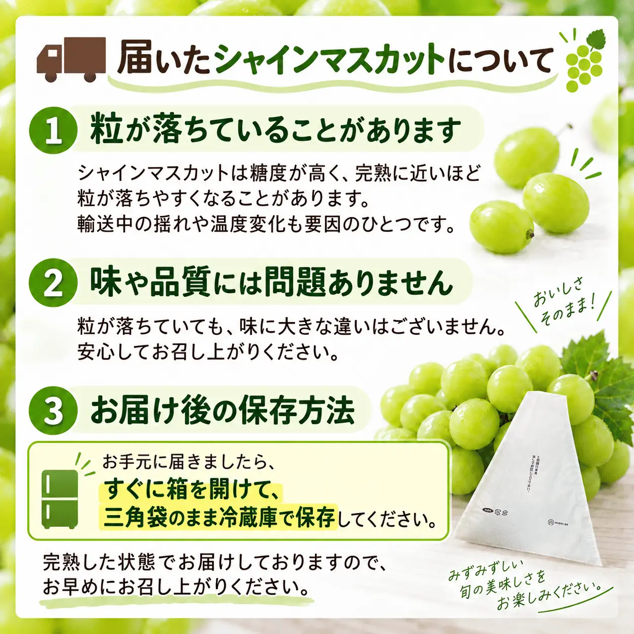シャイン マスカット ぶどう   人気 果物 冷蔵 　3kg   大粒 高級 数量限定 期間限定 秋 旬