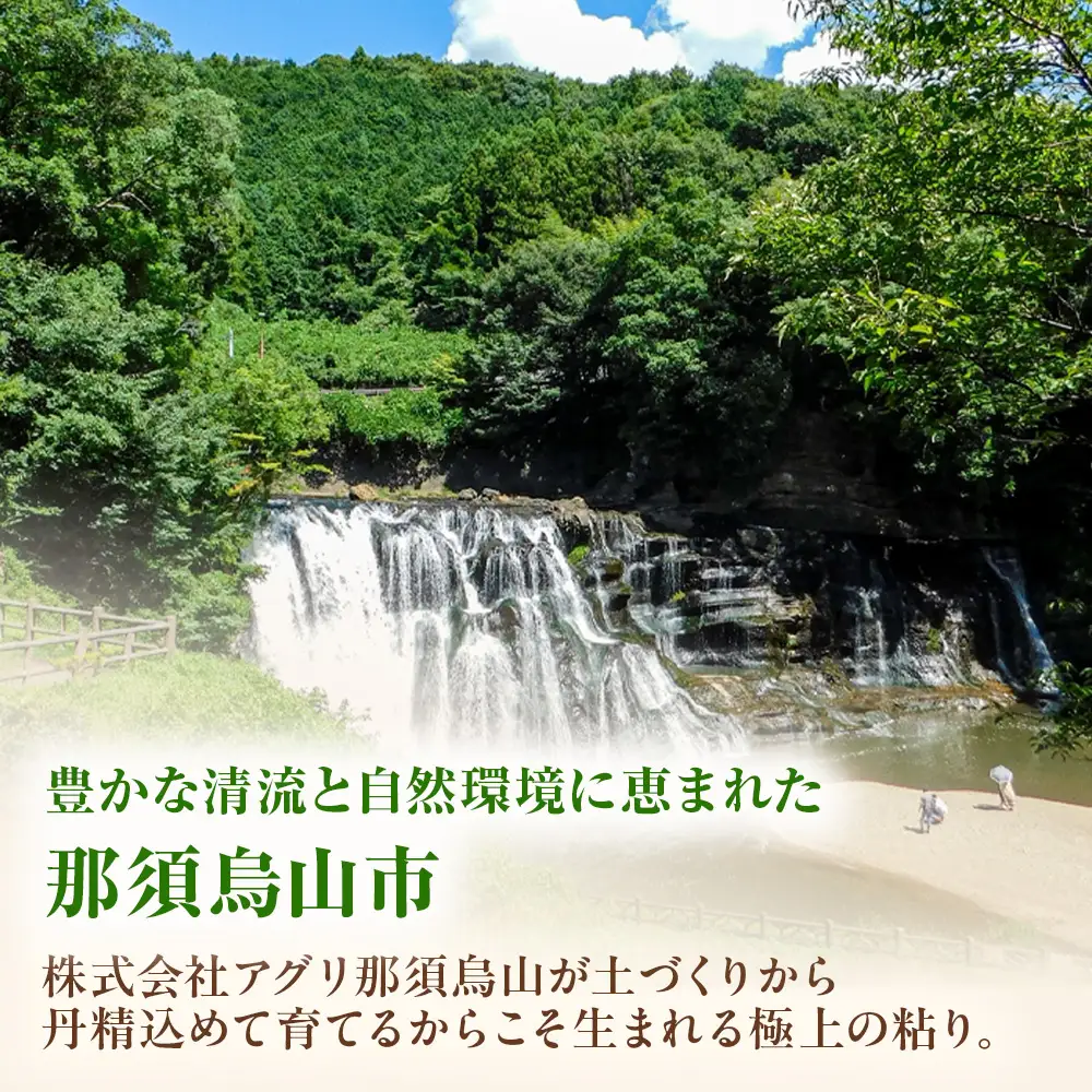 13-7 令和8年産米 栃木県産 ゆうだい21 精米 5kg