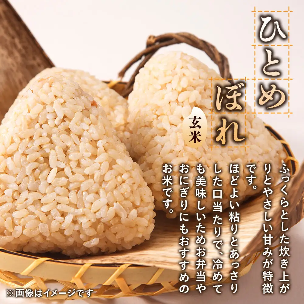 ＜令和8年産 新米＞《7ヶ月定期便》【玄米】秋田県産ひとめぼれ 5kg