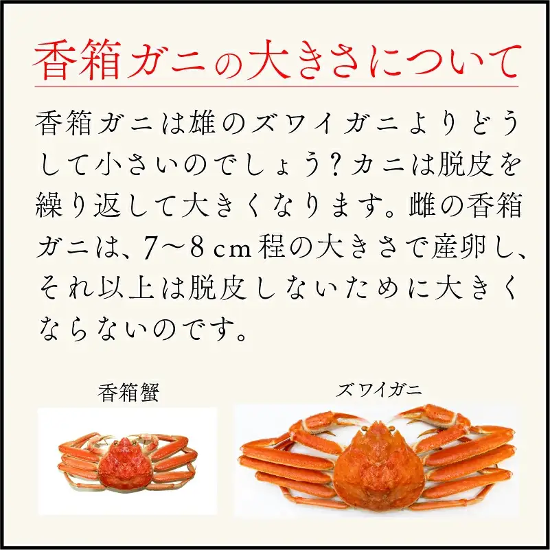 【先行予約】香箱がに 4杯 甲羅盛り 石川初冬の味覚
