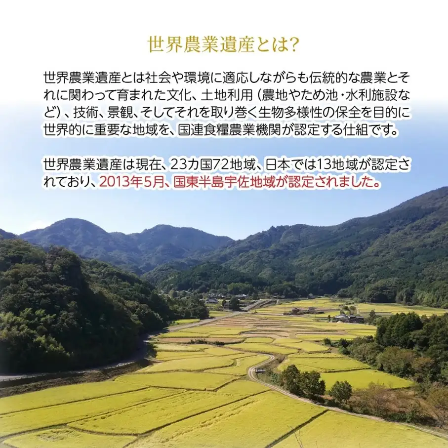 令和7年産米 食味値80点以上/国東産「つや姫」10kg_1673R-3