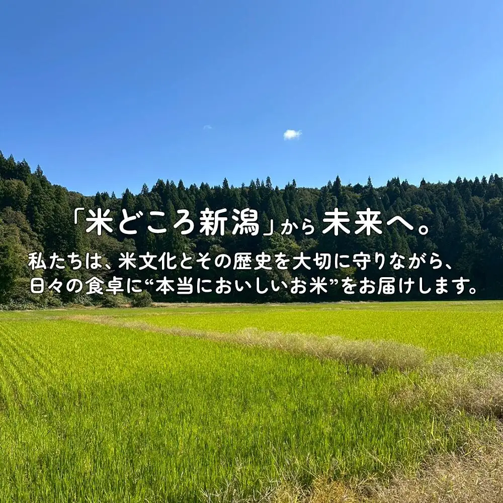 新潟県見附市産 生活応援米10kg 新米 お米 米 訳あり 白米 精米 新潟米 新潟 ブランド いち会