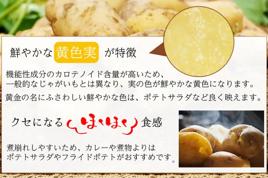 AK077 じゃがいも ながさき黄金 出島 じゃがいも食べ比べセット 計5kg