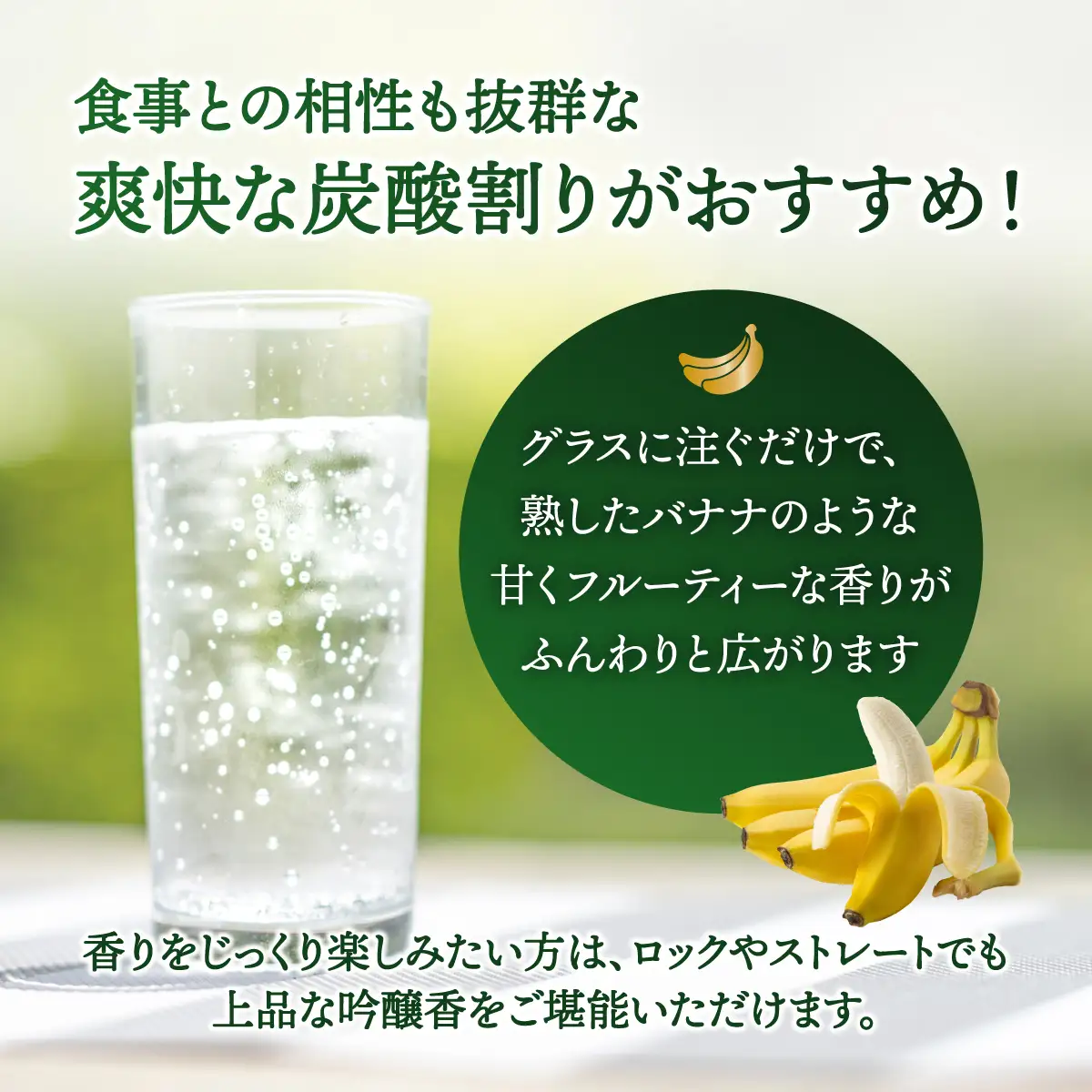 THE　BANANA 500ml（計2本）セット｜25度 500ml 泡盛 酒 お酒 アルコール 忠孝酒造 酒造 バナナ フルーティー ギフト プレゼント 贈り物 沖縄県 沖縄 豊見城市 [BY041]