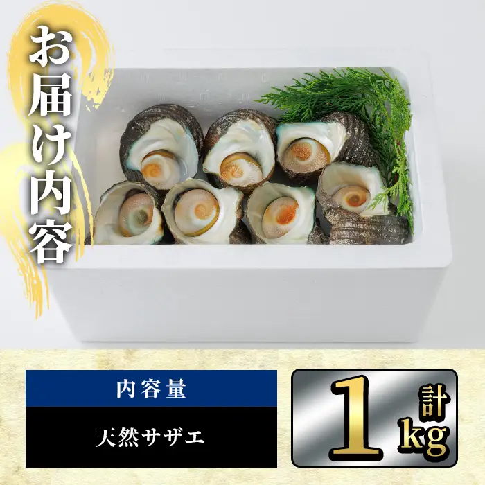 天然 サザエ (計1kg) 活サザエ 魚介 貝 活 活き つぼ焼き 壺焼き バーベキュー BBQ 獲れたて 魚介類 海鮮 おつまみ 魚貝 栄螺 冷蔵 大分県 佐伯市【AS153】【海べ】