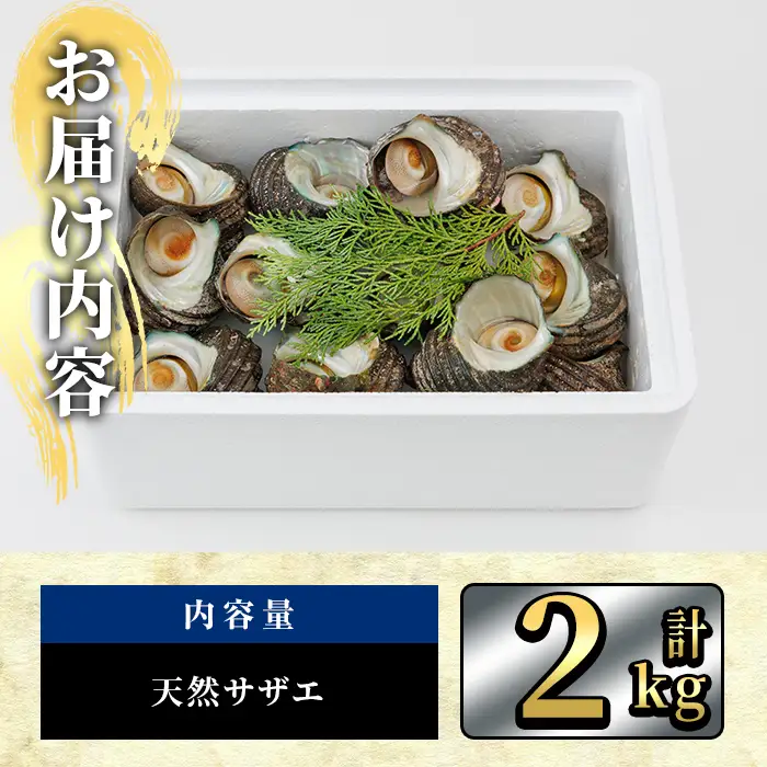 天然 サザエ (計2kg) 活サザエ 魚介 貝 活 活き つぼ焼き 壺焼き バーベキュー BBQ 獲れたて 魚介類 海鮮 おつまみ 魚貝 栄螺 冷蔵 大分県 佐伯市【AS154】【海べ】
