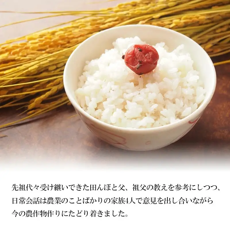 【令和8年産】 ミルキークイーン 無洗米 10kg (5kg×2袋)  山形県庄内産 小池半左衛門