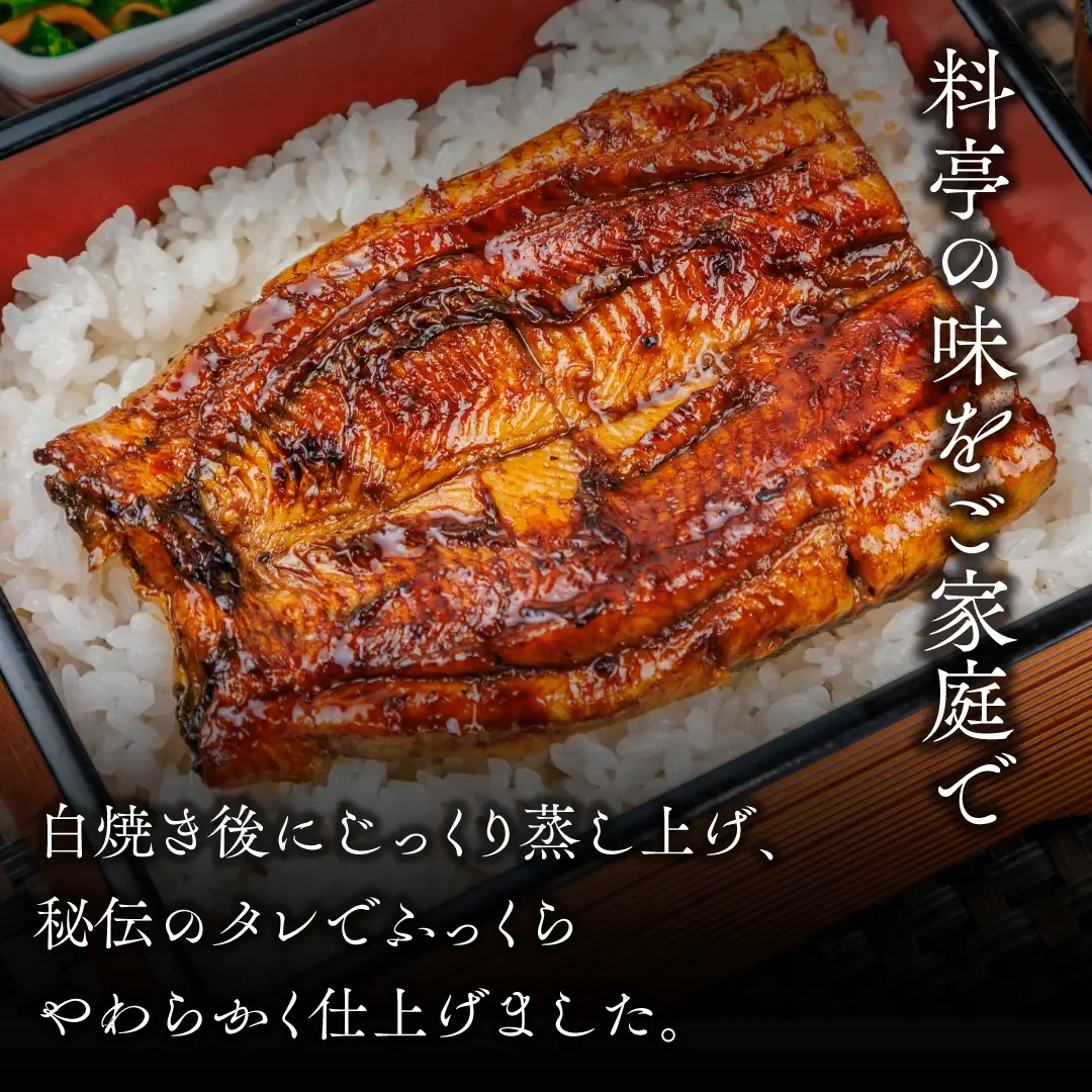 炭火焼うなぎ 蒲焼き半身パック 20袋《半身75～90g×20袋、たれ20個、山椒20袋》