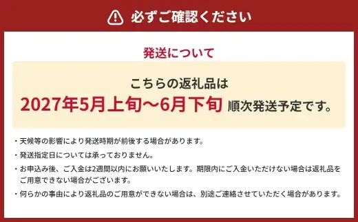 大玉すいか 1玉入り S以上 約2kg 先行予約 スイカ 西瓜 すいか 熊本すいか 果物 くだもの 果実 フルーツ 【 2027年5月上旬 ～ 6月下旬 発送予定 】
