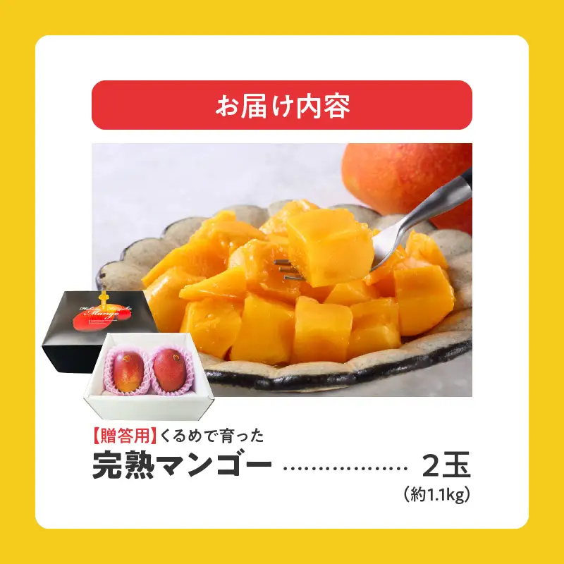 【2027年6月以降お届け】くるめで育った完熟マンゴー（2玉：約1.1kg） 〔Fm010-02-11〕