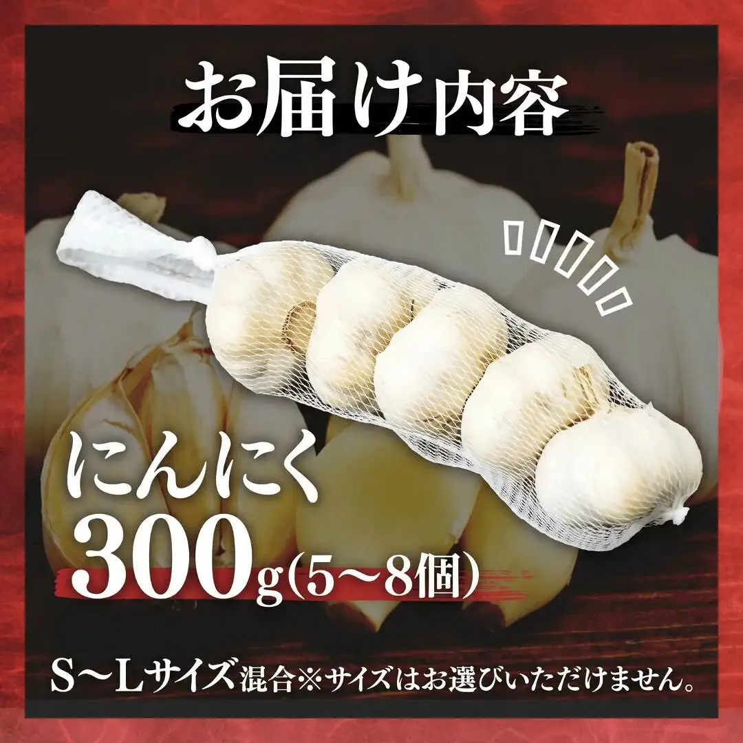 にんにく R9年度 先行予約 農バカにんにく 1箱（300g・5～8個） ＜限定箱＞ | にんにく ニンニク ガーリック 国産 300グラム にんにく ニンニク 東松山あそび農園 埼玉県 東松山市