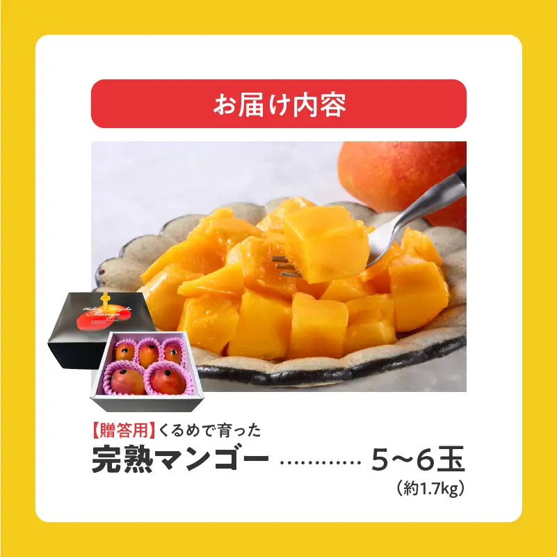 【2027年6月以降お届け】くるめで育った完熟マンゴー（5～6玉：約1.7kg） 〔Fm010-056〕