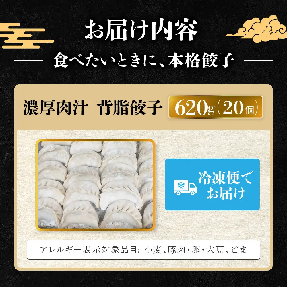 中華味一 濃厚肉汁 背脂餃子 20個（約620g）