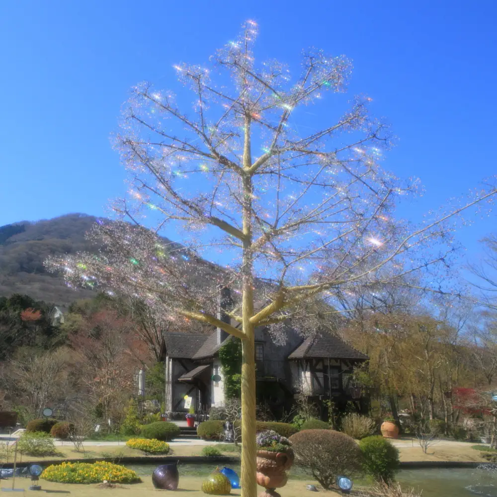 箱根ガラスの森美術館入館ペアチケット【2026年10月上旬以降順次発送】