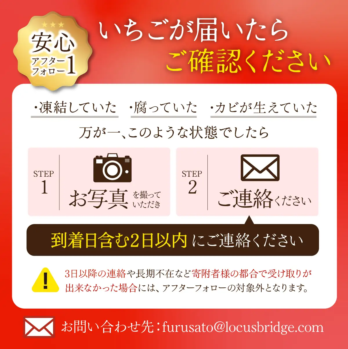 いちご【1月以降発送】朝採れとちあいか レギュラーサイズ 約270g × 2パック 合計 約540g |イチゴ いちご