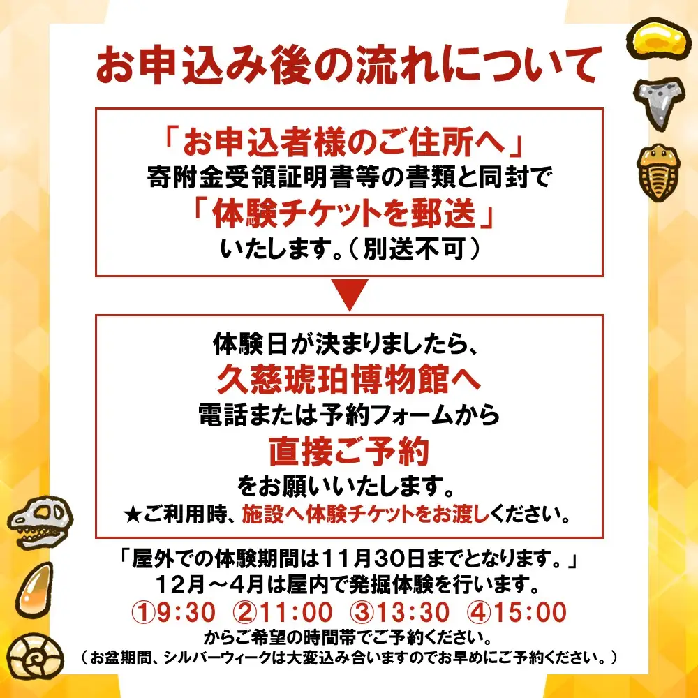 ＼恐竜時代の地層から琥珀を掘り出す本格体験／「琥珀採掘体験プラン」１名様分