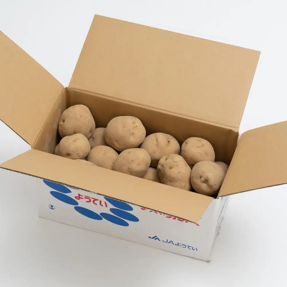 じゃがいも （ 男爵 ） Lサイズ 約5kg × 1箱 約5kg （ JA ） ジャガイモ ポテト いも イモ 芋 男爵イモ 野菜 やさい 甘味 ホクホク 国産 北海道産 【 2026年9月下旬～2027年2月下旬迄発送予定 】