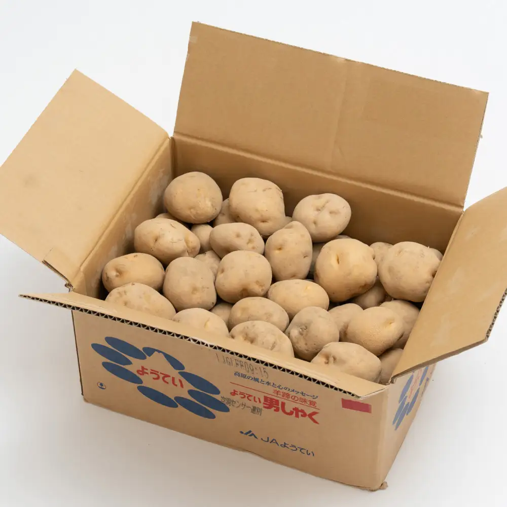じゃがいも （ 男爵 ） Lサイズ 約10kg × 1箱 約10kg （ JA ） ジャガイモ ポテト いも イモ 芋 男爵イモ 野菜 やさい 甘味 ホクホク 国産 北海道産 【 2026年9月下旬～2027年2月下旬迄発送予定 】