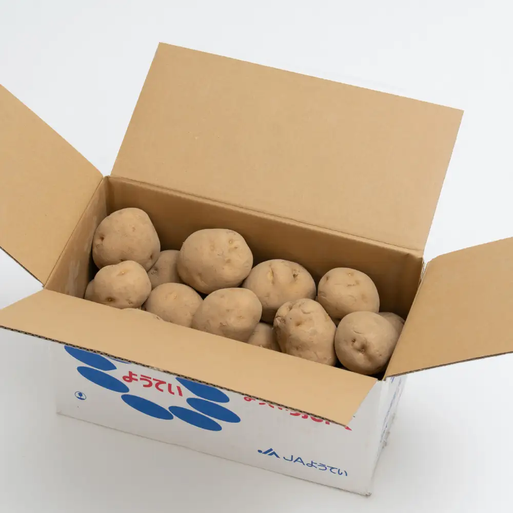 じゃがいも （ 男爵 ） Lサイズ 約5kg × 1箱 ・ じゃがいも （ キタアカリ ） Lサイズ 約5kg × 1箱 （ JA ） 計約10kg ジャガイモ ポテト いも イモ 芋 男爵イモ 野菜 やさい 食べ比べ 詰め合わせ セット 国産 北海道産 【 2026年9月下旬～12月下旬迄発送予定 】