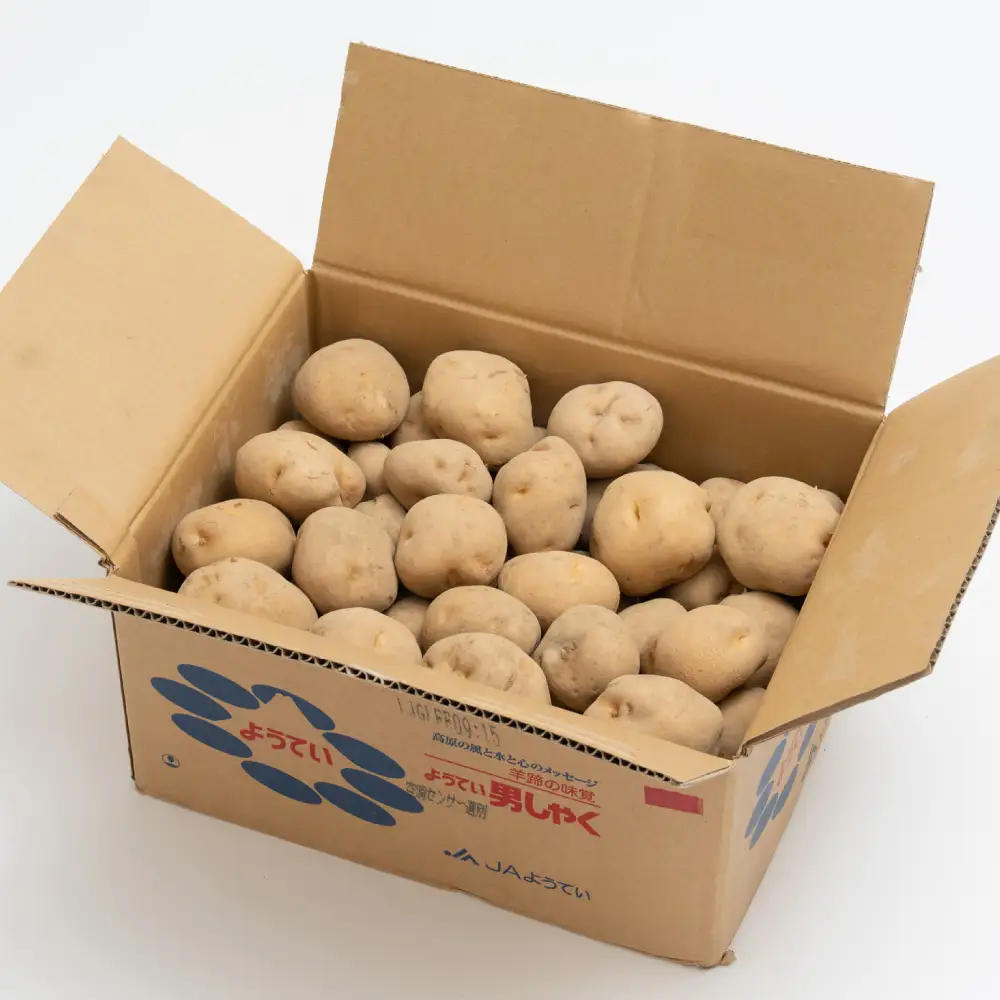 じゃがいも （ 男爵 ） Lサイズ 約10kg × 1箱 ・ じゃがいも （ きたかむい ） Lサイズ 約10kg × 1箱 （ JA ） 計約20kg ジャガイモ ポテト いも イモ 芋 男爵イモ 野菜 やさい 食べ比べ 詰め合わせ セット 国産 北海道産 【 2027年1月上旬～2月下旬迄発送予定 】
