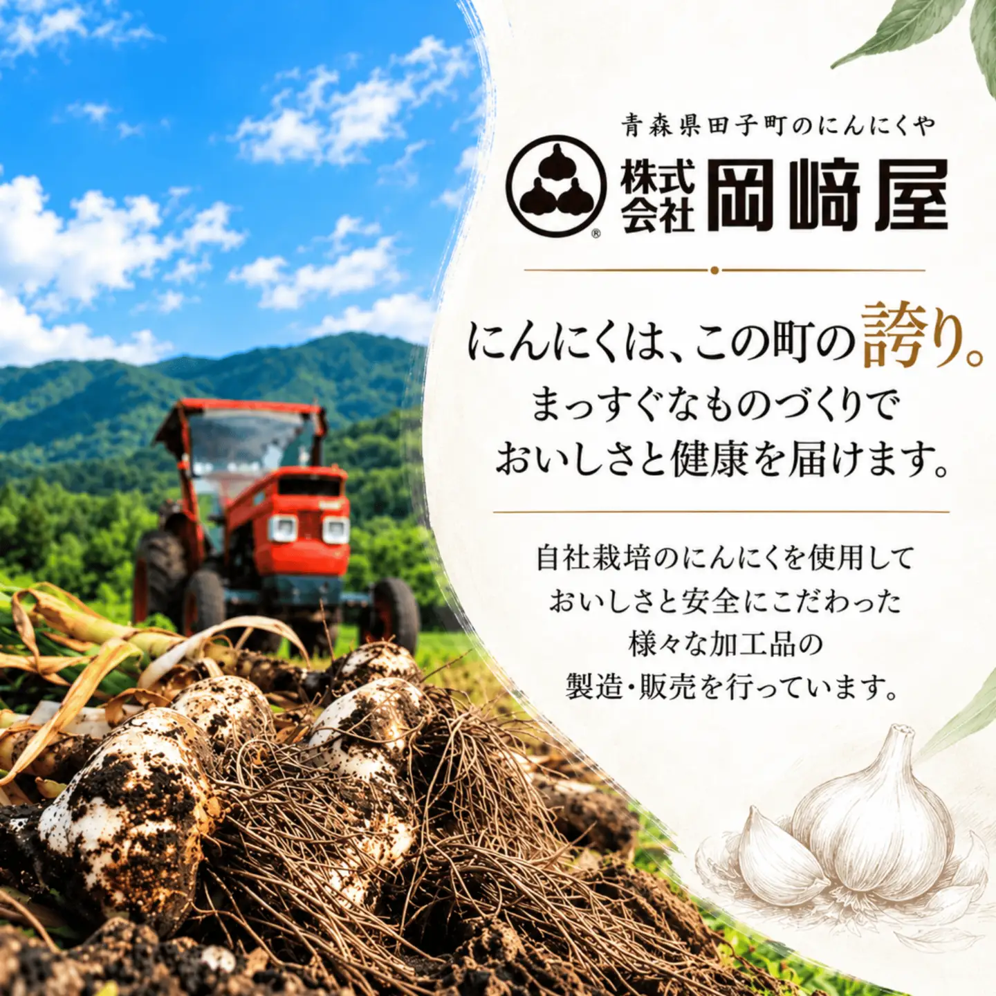 わけあり　純黒にんにく　バラ1kg