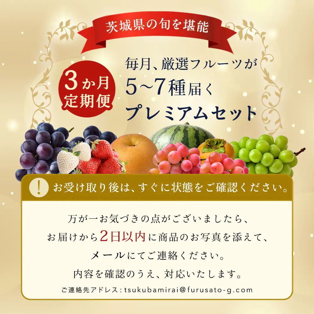 定期便【化粧箱入り1段】厳選フルーツ5〜7種プレミアムセット【毎月1回連続3か月(計3回)】（茨城県共通返礼品） 旬の果物 ギフト