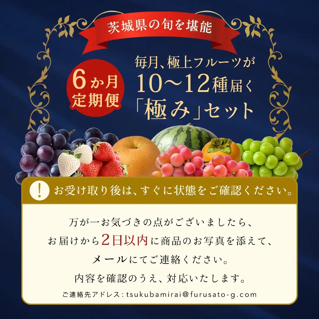 【定期便】 毎月1回連続6か月(計6回)【特選・桐箱2段】極上フルーツ10～12種「極み」セット（茨城県共通返礼品）  旬の果物 ギフト