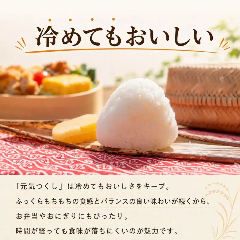《令和8年産 新米 》  元気つくし 20kg 白米 ｜米 TBS