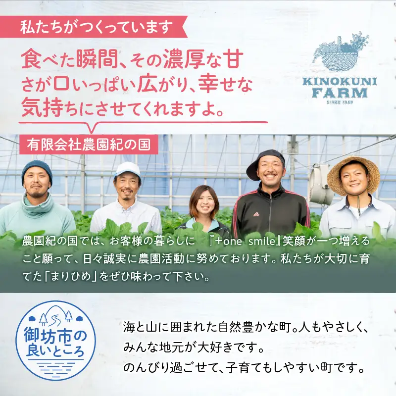 和歌山オリジナルいちご『完熟まりひめ』4パック入り（ご家庭用）《先行予約》2027年3月下旬頃から順次発送【配送不可地域：北海道、沖縄県、青森県、秋田県、岩手県、離島】【1052-4】