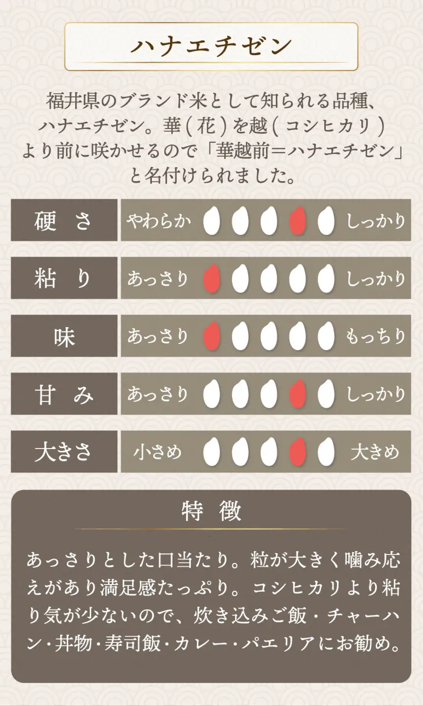 【定期便6回】 ハナエチゼン 玄米 5kg（5kg×1）令和8年産 [095-t06-a027]