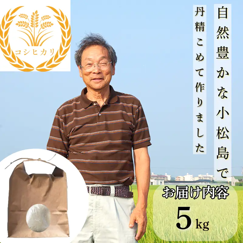 【令和8年産】新米 コシヒカリ5kg 米 白米 精米 こめ お米 産地直送 小松島市