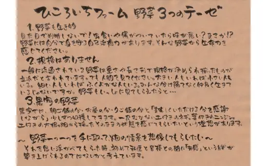 【定期便3ヶ月】農家のおすそわけ（訳アリ）野菜便【 農家 野菜詰め合わせ 野菜 詰め合わせ セット 訳あり 】RT3405