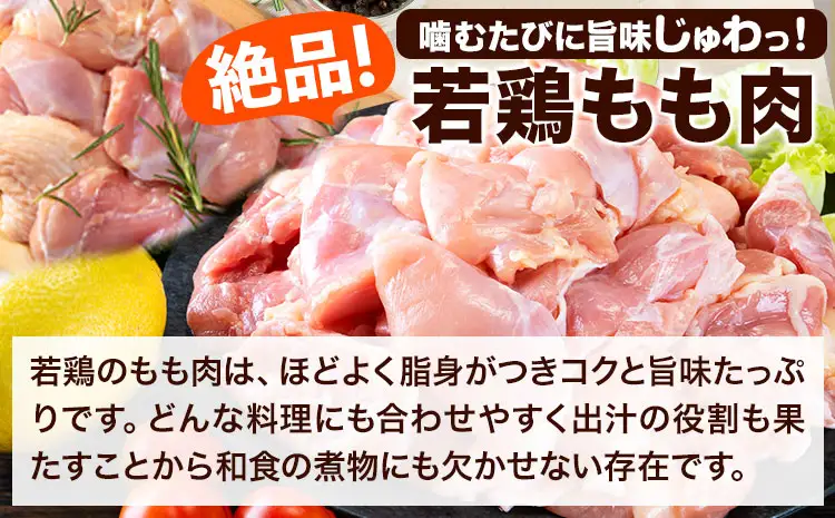 鶏肉 もも肉 9.3kg カット済 小分け 熊本 | 鶏肉