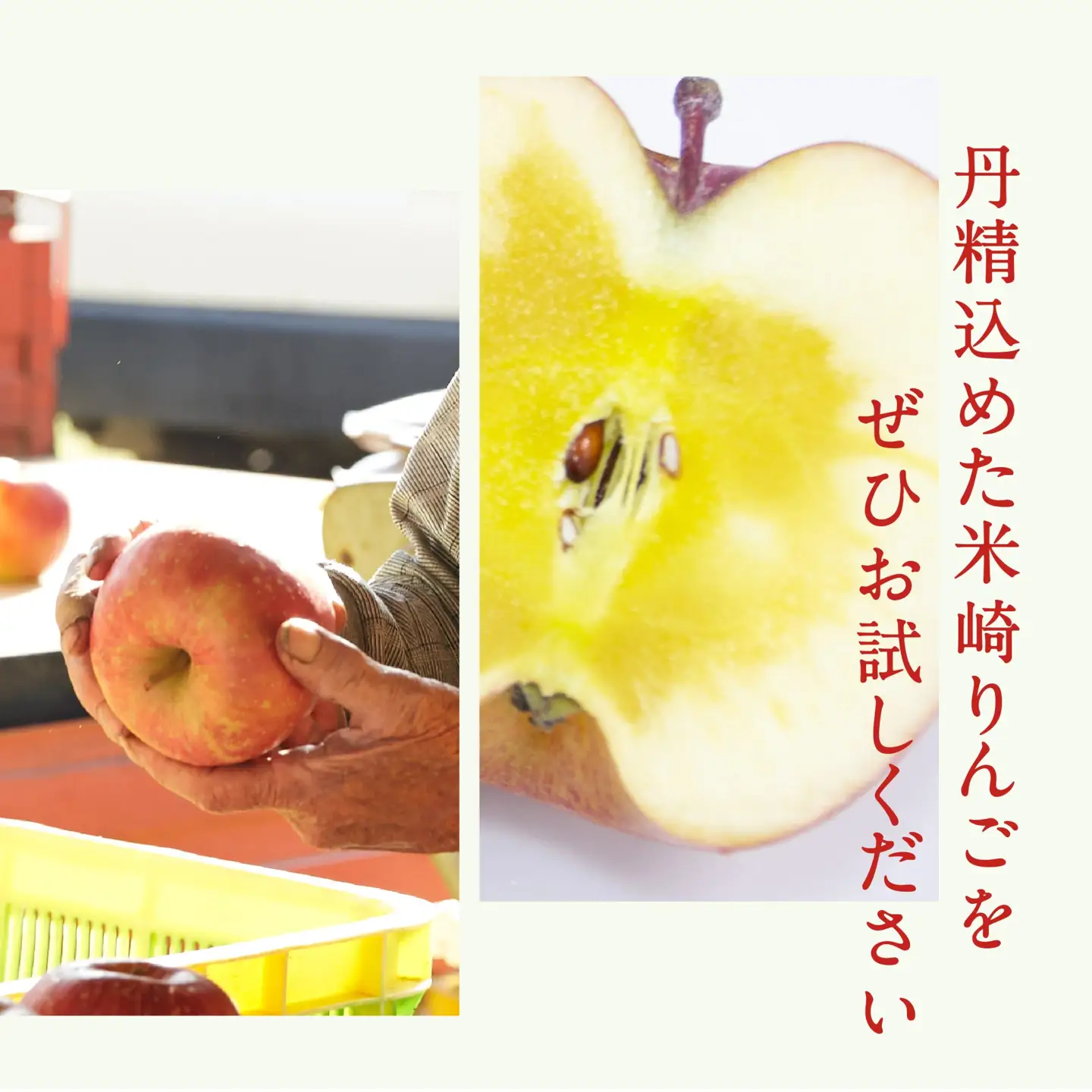 ★高評価★ りんご 品種おまかせ5kg 米崎りんご