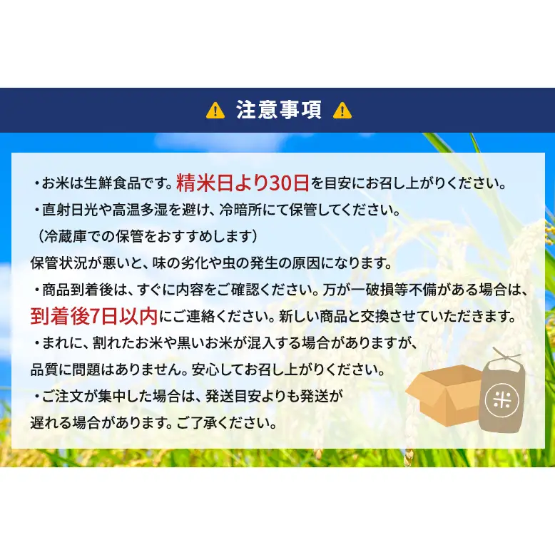 令和8年度産 静岡産 コシヒカリ 玄米 定期便 10kg×6カ月 米 コメ こしひかり コシヒカリ 袋井市 静岡県