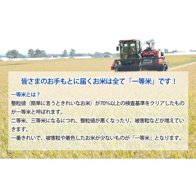 【先行受付】令和8年産 ななつぼし15kg(5kg袋×3個)北海道  特A 精米 米 白米 ご飯 お米 ごはん 国産 ブランド米 おにぎり ふっくら 常温 お取り寄せ 産地直送 農家直送 送料無料 月形