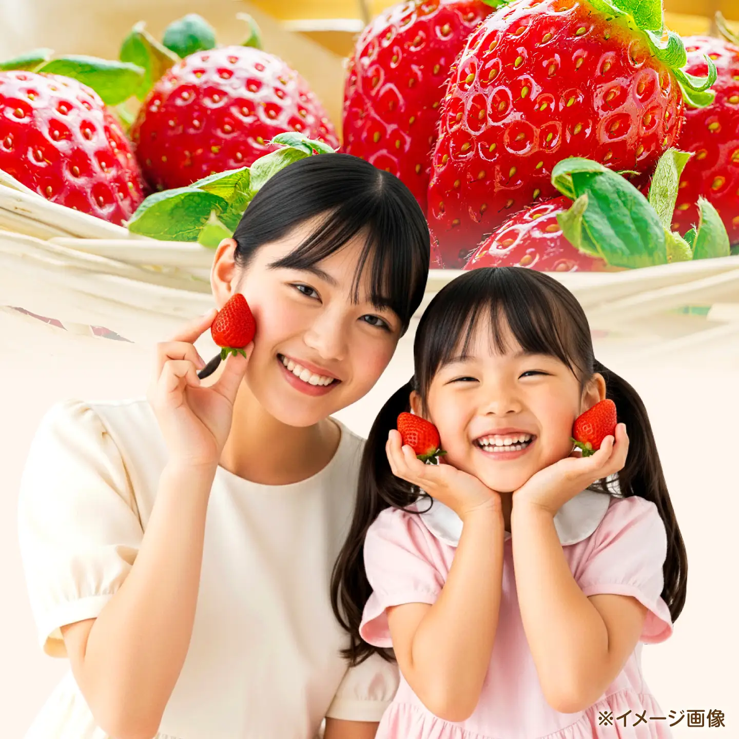 【先行予約】【2027年3月中旬より順次発送】いちご 恋みのり 百花園ファーム 約500g（約250g×2P） お試し用 11粒から14粒/P 2Lサイズ 【株式会社合志百花園ファーム】[AYDW001]