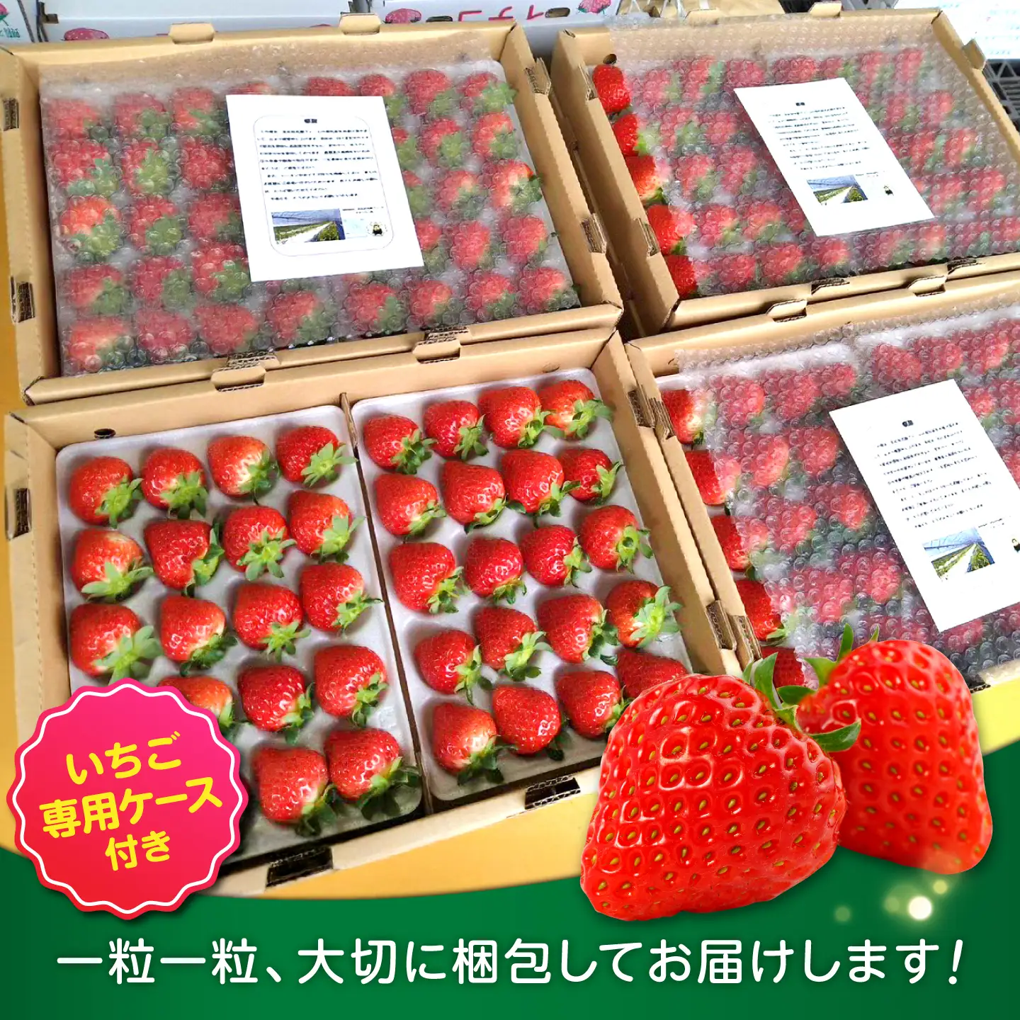【先行予約】【2027年3月中旬より順次発送】いちご ゆうべに 百花園ファーム 約700g（約350g×2P）20粒/P Lサイズ 【株式会社合志百花園ファーム】[AYDW006]