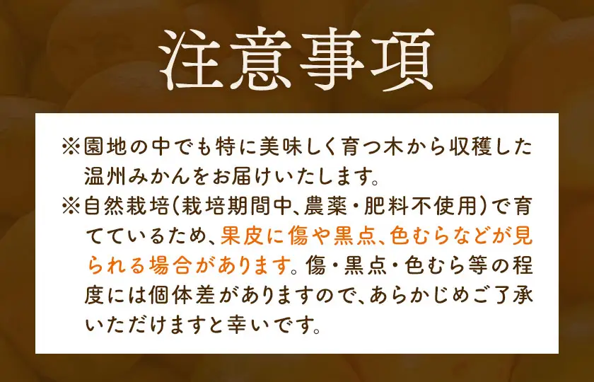 温州みかん 3kg 池田農園